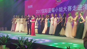 安阳设计策划与全方位活动解决方案